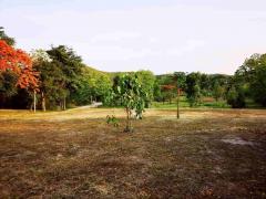 ที่ดินสวย วิวเขา ติดน้ำ 6-3-49.6 ไร่ น้ำแพร่ อ.หางดง เชียงใหม่