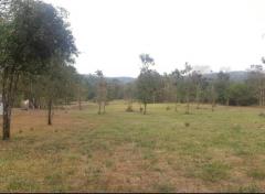 ที่ดินสวย วิวเขา ติดน้ำ 6-3-49.6 ไร่ น้ำแพร่ อ.หางดง เชียงใหม่-202512081755571765191357738.jpg