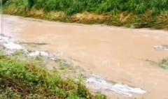 ที่ดินสวย วิวเขา ติดน้ำ 6-3-49.6 ไร่ น้ำแพร่ อ.หางดง เชียงใหม่-202512081756161765191376912.jpg