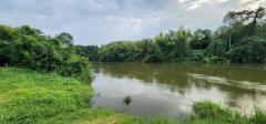 ขายที่ดินติดแม่น้ำแควน้อย ไทรโยค กาญจนบุรี 19 ไร่ หน้าน้ำกว้างมาก 400 ม.เลย ใกล้ อุทยานประวัติศาสตร์ เมืองสิงห์ 