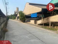 ขายด่วนที่ดินพร้อมสิ่งปลูกสร้าง เนื้อที่ 3 ไร่ 3 งาน 97.2 ตารางวา สามพราน นครปฐม-202512090145511765219551082.jpg