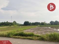 ขายที่ดิน เนื้อที่ 6 ไร่ 68 ตร.วา ท่าบ่อ หนองคาย