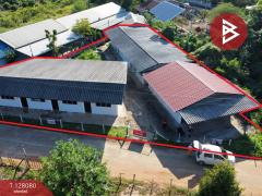 ขายอพาร์ทเม้นท์ เนื้อที่ 200 ตารางวา โชคชัย นครราชสีมา รีโนเวทใหม่-202512091202341765256554807.jpg