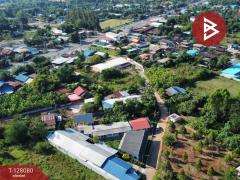 ขายอพาร์ทเม้นท์ เนื้อที่ 200 ตารางวา โชคชัย นครราชสีมา รีโนเวทใหม่-202512091202401765256560691.jpg