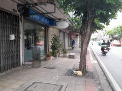 ขายตึกแถว 4 ชั้น มีดาดฟ้า ติดริมถนนจอมทอง 230 ตรม 17 ตรว-202512091219471765257587618.jpg