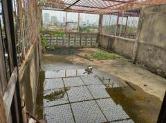 ขายตึกแถว 4 ชั้น มีดาดฟ้า ติดริมถนนจอมทอง 230 ตรม 17 ตรว-202512091219531765257593284.jpg