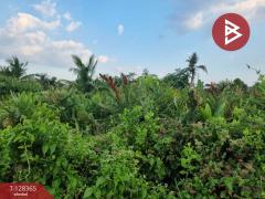 ขายที่ดิน เนื้อที่ 2 งาน 15 ตร.วา ซ.ประชาอุทิศ 72 ทุ่งครุ กรุงเทพมหานคร-202512091430041765265404880.jpg