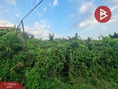 ขายที่ดิน เนื้อที่ 2 งาน 15 ตร.วา ซ.ประชาอุทิศ 72 ทุ่งครุ กรุงเทพมหานคร-202512091430051765265405805.jpg