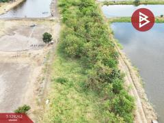 ขายที่ดิน เนื้อที่ 5 ไร่ 75 ตร.วา บางปะกง ฉะเชิงเทรา-202512091432451765265565450.jpg