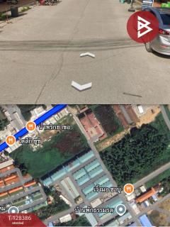 ขายที่ดิน เนื้อที่ 3 งาน 53.6 ตร.วา ท่าโพธิ์ พิษณุโลก-202512091509591765267799110.jpg