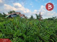 ขายที่ดิน ในหมู่บ้านพลีโน่ เนื้อที่ 1 ไร่ 1 งาน 53 ตร.วา ทุ่งครุ กรุงเทพมหานคร