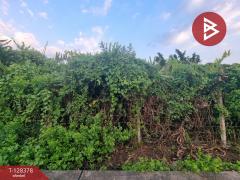 ขายที่ดิน ในหมู่บ้านพลีโน่ เนื้อที่ 1 ไร่ 1 งาน 53 ตร.วา ทุ่งครุ กรุงเทพมหานคร-202512091521511765268511725.jpg