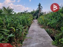 ขายที่ดิน ในหมู่บ้านพลีโน่ เนื้อที่ 1 ไร่ 1 งาน 53 ตร.วา ทุ่งครุ กรุงเทพมหานคร-202512091521531765268513986.jpg