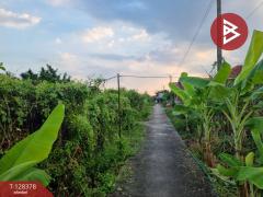 ขายที่ดิน ในหมู่บ้านพลีโน่ เนื้อที่ 1 ไร่ 1 งาน 53 ตร.วา ทุ่งครุ กรุงเทพมหานคร-202512091521541765268514515.jpg