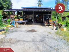 ขายบ้านเดี่ยวพร้อมที่ดิน เนื้อที่ 1 งาน 97 ตร.วา พิปูน นครศรีธรรมราช