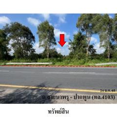 ขายที่ดิน ถนน สายนาพรุ-ปากพูน (ทล.4103) ตำบล นาสาร อำเภอ พระพรหม จังหวัด นครศรีธรรมราช