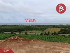 ขายที่ดิน เนื้อที่ 9 ไร่ 2 งาน 87 ตร.วา แหลมกลัด ตราด-202512091613151765271595714.jpg