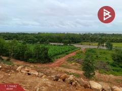 ขายที่ดิน เนื้อที่ 9 ไร่ 2 งาน 87 ตร.วา แหลมกลัด ตราด-202512091613161765271596245.jpg