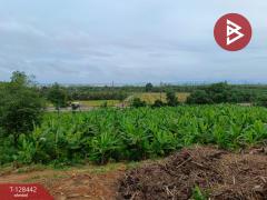 ขายที่ดิน เนื้อที่ 9 ไร่ 2 งาน 87 ตร.วา แหลมกลัด ตราด-202512091613171765271597331.jpg