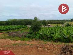 ขายที่ดิน เนื้อที่ 9 ไร่ 2 งาน 87 ตร.วา แหลมกลัด ตราด-202512091613171765271597899.jpg