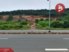 ขายที่ดิน เนื้อที่ 9 ไร่ 2 งาน 87 ตร.วา แหลมกลัด ตราด-202512091613191765271599490.jpg