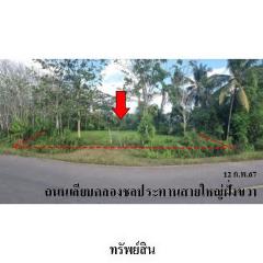 ขายที่ดินว่างเปล่า ถนน เลียบคลองชลประทานสายใหญ่ฝั่งขวา ตำบล ละมอ อำเภอ นาโยง จังหวัด ตรัง