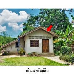 ขายบ้านเดี่ยว สายตรัง-กันตัง (ทล.403) ตำบล บางเป้า อำเภอ กันตัง จังหวัด ตรัง