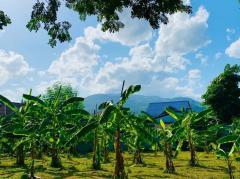  ขายที่ดินทำเลทอง! หมู่บ้านช่างทอง ต.สุเทพ อ.เมืองเชียงใหม่ ใกล้มหาวิทยาลัยเชียงใหม่ (หลัง มช.)