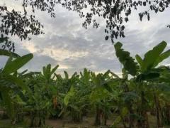  ขายที่ดินทำเลทอง! หมู่บ้านช่างทอง ต.สุเทพ อ.เมืองเชียงใหม่ ใกล้มหาวิทยาลัยเชียงใหม่ (หลัง มช.)-202512091643451765273425697.jpg