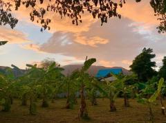  ขายที่ดินทำเลทอง! หมู่บ้านช่างทอง ต.สุเทพ อ.เมืองเชียงใหม่ ใกล้มหาวิทยาลัยเชียงใหม่ (หลัง มช.)-202512091643461765273426171.jpg