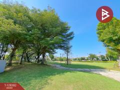 ขายบ้านเดี่ยว หมู่บ้านพฤกษ์ลดา บางใหญ่ (Pruklada Bangyai) นนทบุรี-202512091745591765277159279.jpg