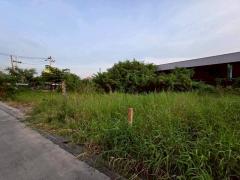 Vายที่ดินทำเลดี 96.5 ตารางวา ติดถนนคอนกรีตสาธารณะ ถมแล้ว สวัสดิการ 1 ซอย 1 หนองแขม กรุงเทพมหานคร-202512100356341765313794422.jpeg