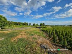 ขายที่สวยติดคลอง หลังมศว.องครักษ์ ขายรวม 2 โฉนด ทำเลดี ค้าขายได้ ถมแล้วบางส่วน การเดินทางสะดวกสบาย