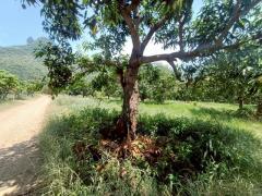 ขายที่ดินเปล่า ถมแล้ว 2ไร่ 1งาน 24 ตร.ว. อำเภอสามร้อยยอด จังหวัดประจวบคีรีขันต์