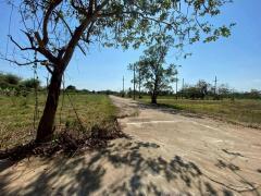 ที่ดินแปลงสวย ทำเลดี ใกล้ตลาดน้ำโท้ง  หางดง          