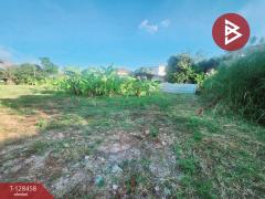 ขาย/เช่า ที่ดิน เนื้อที่ 1 ไร่ 3 งาน 6.1 ตร.วา พระประแดง สมุทรปราการ