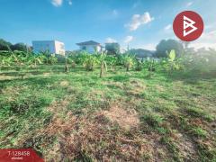 ขาย/เช่า ที่ดิน เนื้อที่ 1 ไร่ 3 งาน 6.1 ตร.วา พระประแดง สมุทรปราการ-202512110939201765420760731.jpg