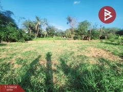 ขาย/เช่า ที่ดิน เนื้อที่ 1 ไร่ 3 งาน 6.1 ตร.วา พระประแดง สมุทรปราการ-202512110939211765420761328.jpg