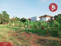 ขาย/เช่า ที่ดิน เนื้อที่ 1 ไร่ 3 งาน 6.1 ตร.วา พระประแดง สมุทรปราการ-202512110939211765420761934.jpg