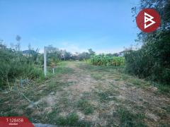 ขาย/เช่า ที่ดิน เนื้อที่ 1 ไร่ 3 งาน 6.1 ตร.วา พระประแดง สมุทรปราการ-202512110939231765420763066.jpg