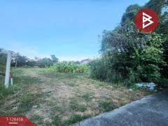 ขาย/เช่า ที่ดิน เนื้อที่ 1 ไร่ 3 งาน 6.1 ตร.วา พระประแดง สมุทรปราการ-202512110939231765420763627.jpg