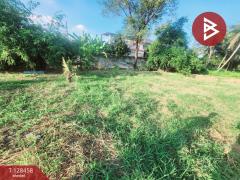 ขาย/เช่า ที่ดิน เนื้อที่ 1 ไร่ 3 งาน 6.1 ตร.วา พระประแดง สมุทรปราการ-202512110939241765420764575.jpg