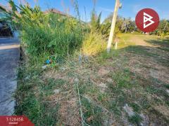 ขาย/เช่า ที่ดิน เนื้อที่ 1 ไร่ 3 งาน 6.1 ตร.วา พระประแดง สมุทรปราการ-202512110939251765420765335.jpg