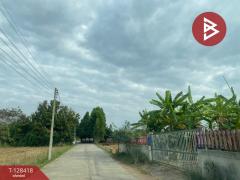 ขายที่ดิน เนื้อที่ 1 งาน 35 ตร.วา หนองเรือ ขอนแก่น-202512110951001765421460343.jpg