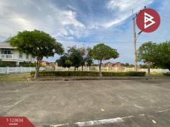 ขายที่ดิน เนื้อที่ 2 งาน 8.1 ตร.วา ชะอำ เพชรบุรี-202512111000081765422008804.jpg