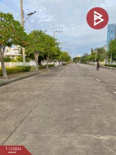 ขายที่ดิน เนื้อที่ 2 งาน 8.1 ตร.วา ชะอำ เพชรบุรี-202512111000091765422009533.jpg