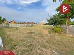 ขายที่ดิน เนื้อที่ 2 งาน 8.1 ตร.วา ชะอำ เพชรบุรี-202512111000101765422010136.jpg