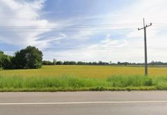 ขายที่ดิน 28 ไร่ 3 งาน 41.2 ตร.ว. ติดถนนใหญ่ ตรงข้ามอนามัย ใกล้ อบต.วังซ่าน-202512111010061765422606520.jpg