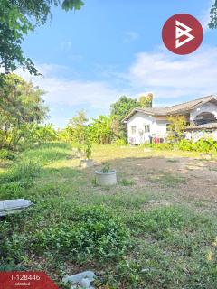 ขายที่ดิน เนื้อที่ 1 งาน 1 ตร.วา มีนบุรี กรุงเทพมหานคร-202512111040111765424411271.jpg