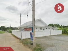 ขายบ้านเดี่ยวชั้นเดียว เนื้อที่ 1 งาน 30 ตร.วา ท่าอิฐ อุตรดิตถ์-202512111153171765428797021.jpg